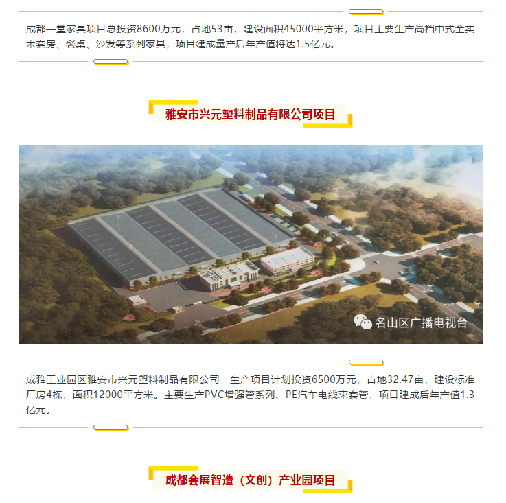 總投資157.1億元！四川省2019年第一季度重大項目集中開工儀式雅安分會場在成雅工業(yè)園區(qū)舉行(圖6)